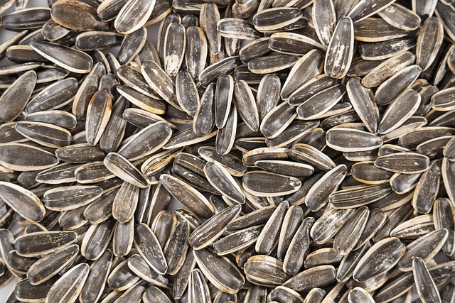 
          LES BONNES PRATIQUES POUR UN MEILLEUR STOCKAGE DU TOURNESOL 