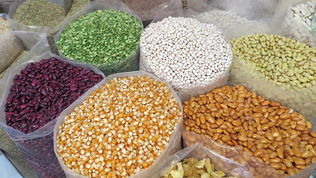 
          FAIRE LA PROMOTION DES SEMENCES PAYSANNES EN AGRICULTURE