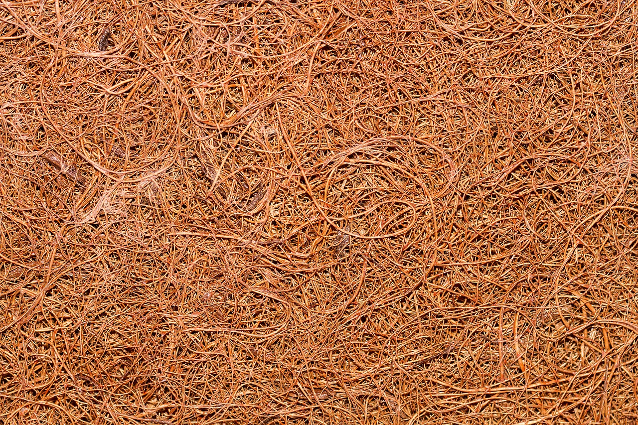 
          FERTILISATION DU SOL AVEC LA FIBRE DE COCO