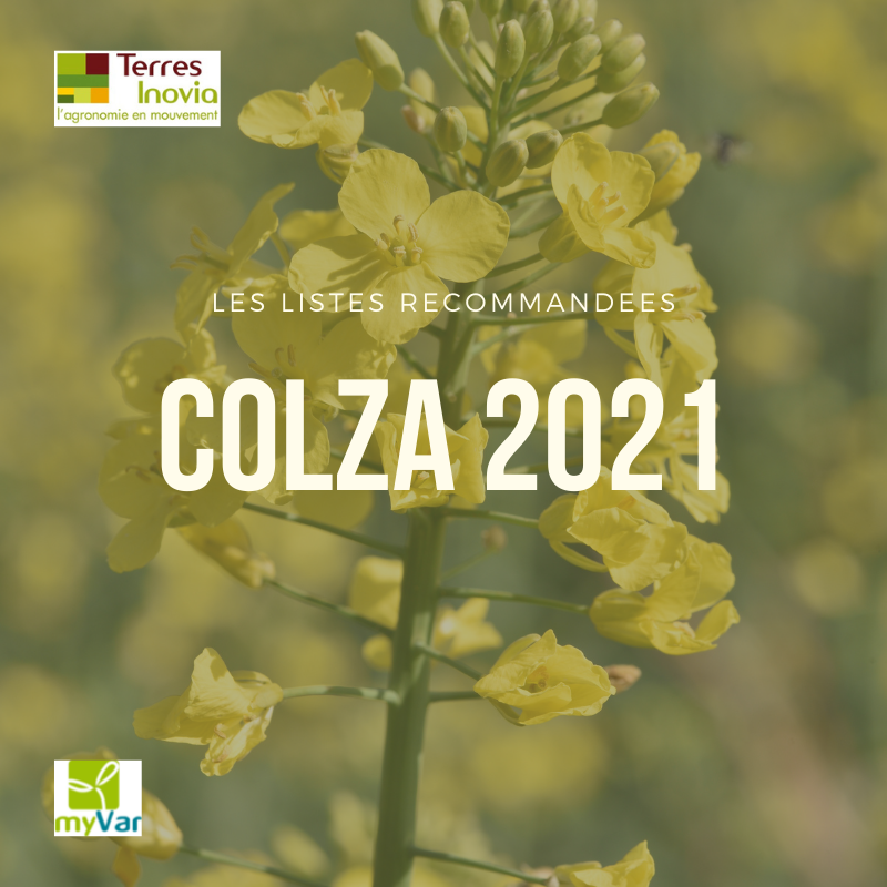 
           Les listes recommandées colza 2021 sont disponibles sur MyVar 