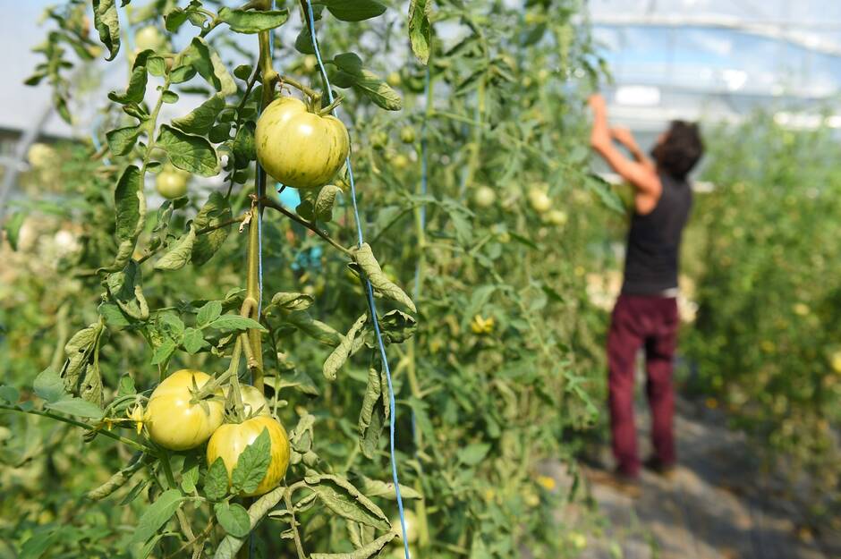 
            Le ministère de l’Agriculture française publie son plan pour réduire les émissions de CO2