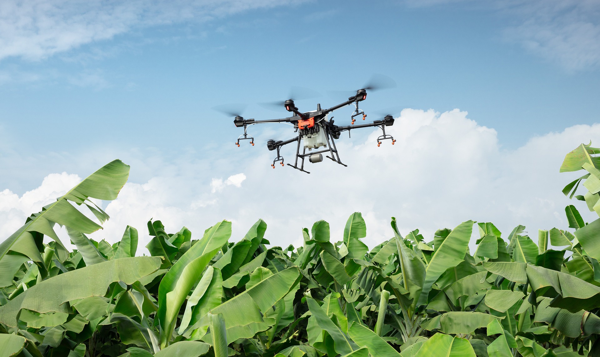 
          L’agriculture dans l’ère de la digitalisation