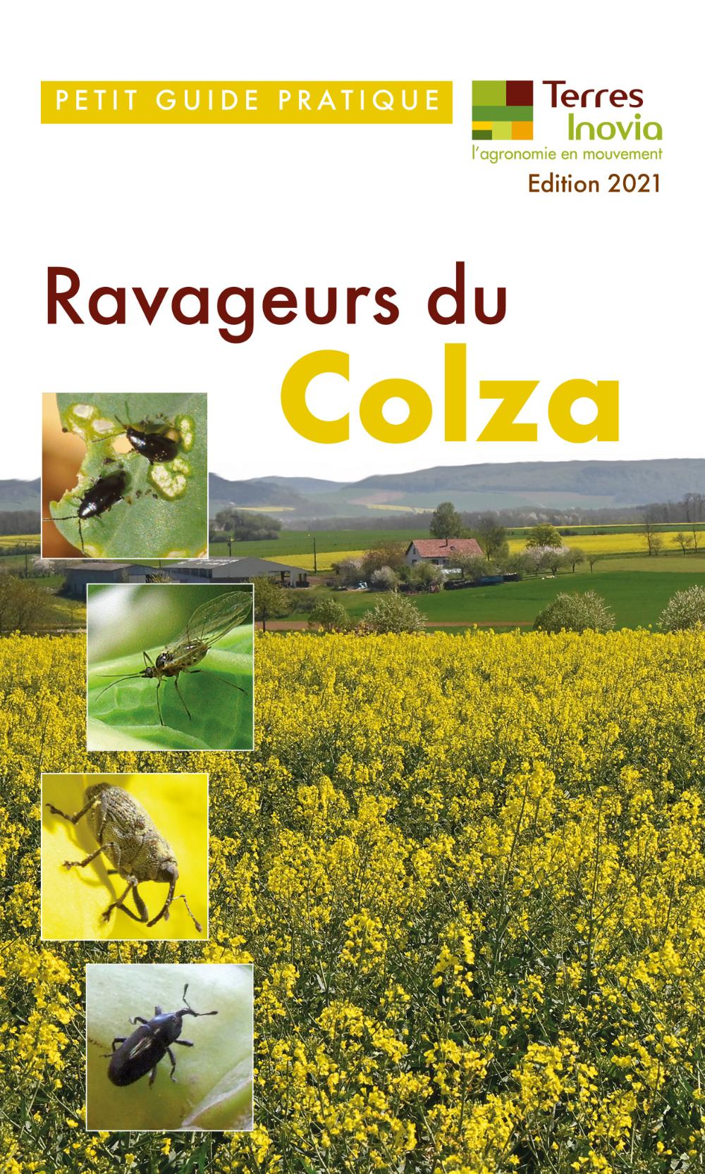 
           Parution de deux petits guides pratiques Â« Ravageurs du colza Â» et Â« Maladies & ravageurs du tournesol Â» 