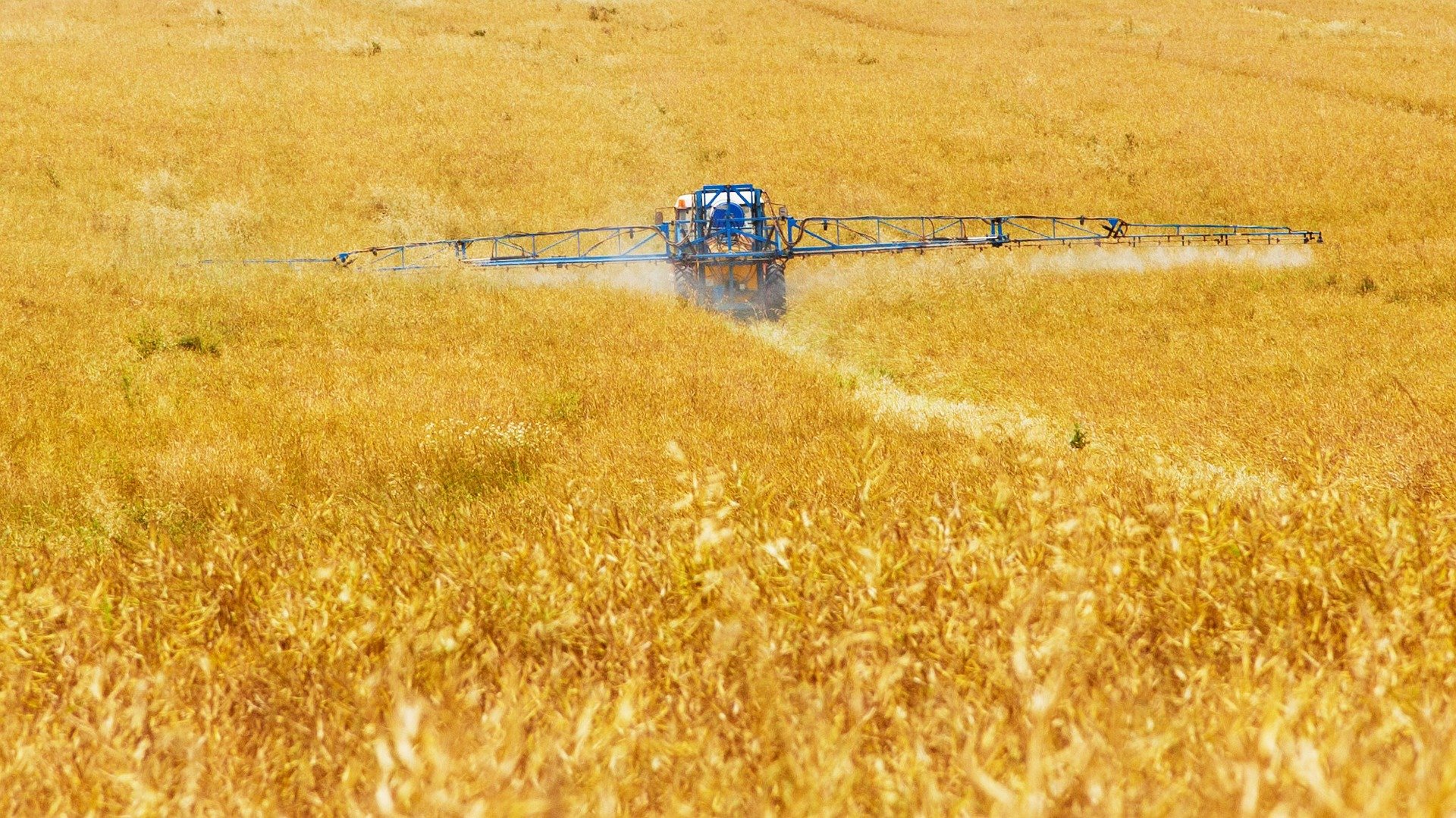 
          LE BIOCONTRÔLE, L’UNE DES ALTERNATIVES DANS LA LUTTE CONTRE LES PRODUITS PHYTOSANITAIRES