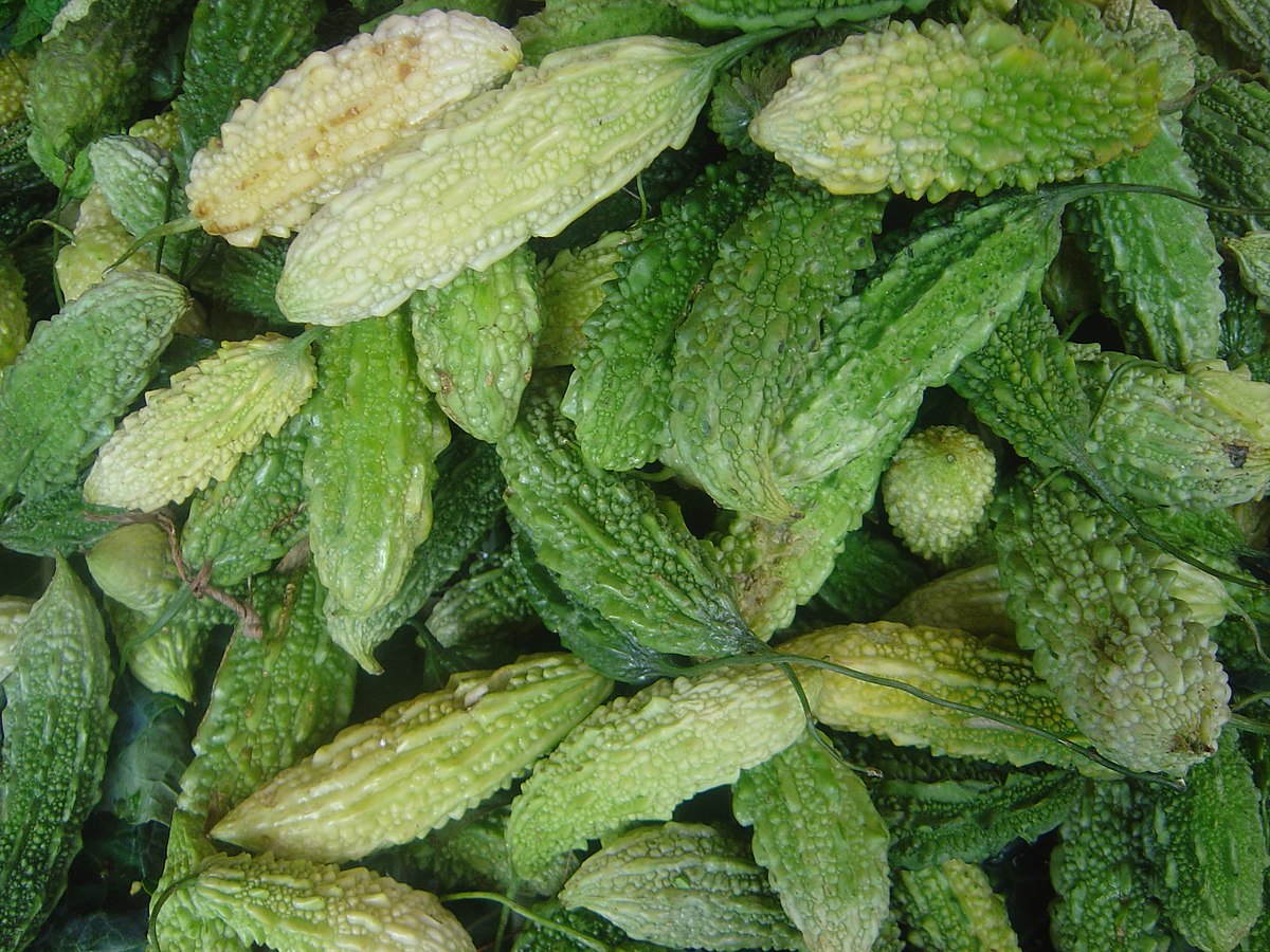 
          Momordique (Momordica charantia)