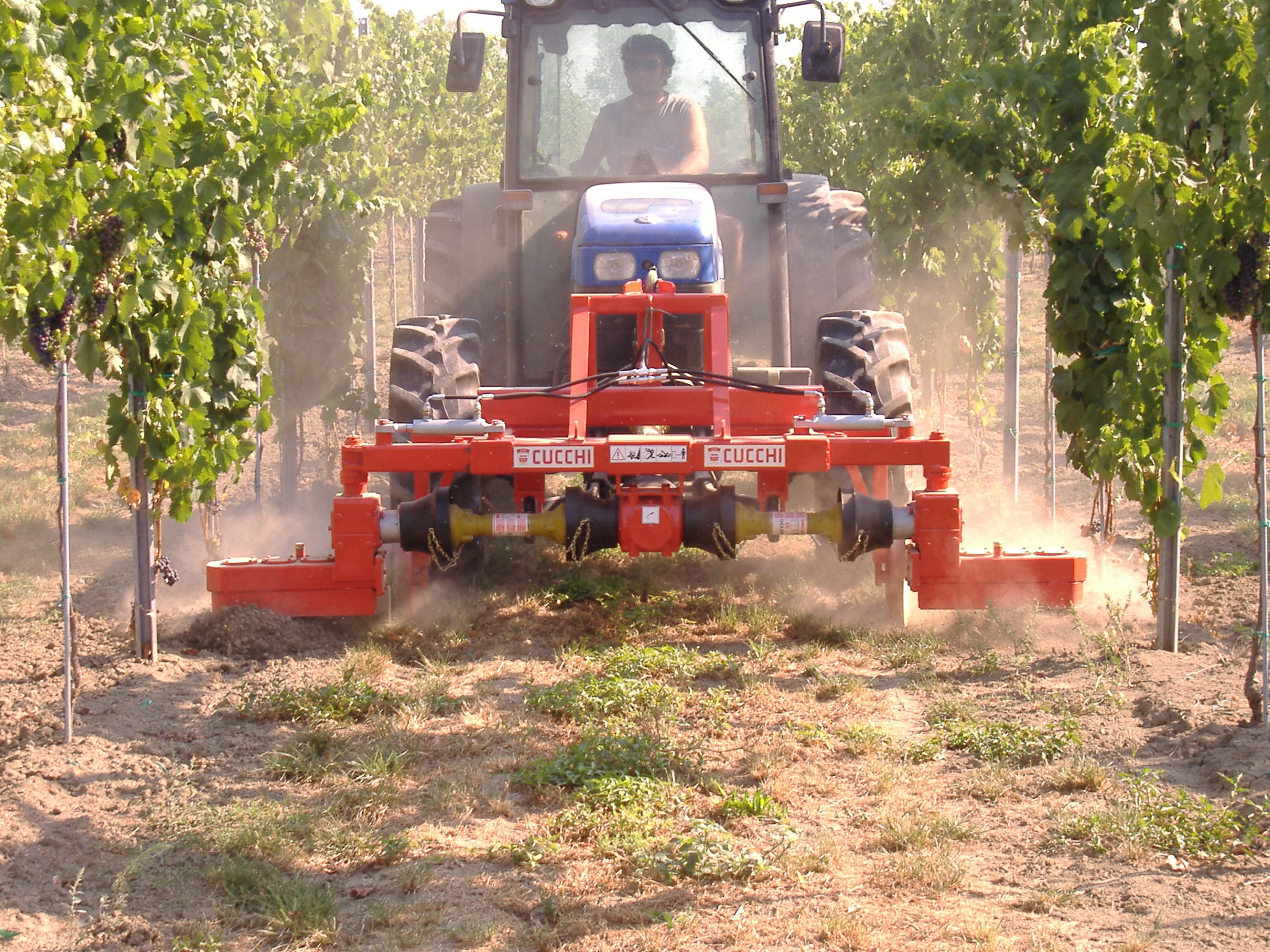 
          Outils agricoles Gucchi : Cultivateur interceps sur relevage avant