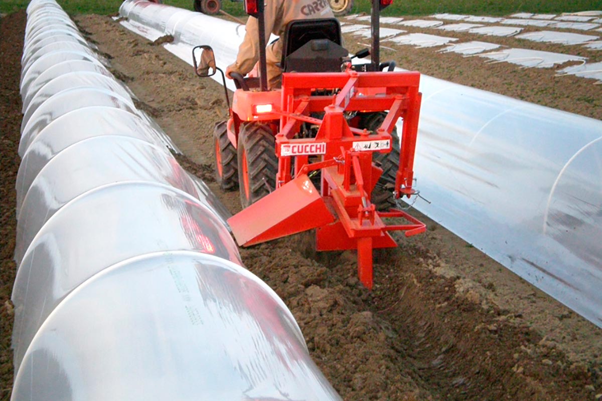 
          Outils agricoles Gucchi/Rechauseuse-Buttoir : Série AMRS et AMRSU et série LT