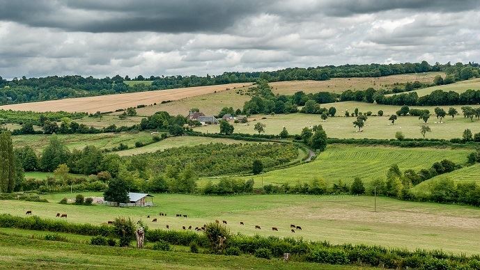 
           L'agriculture française représente 16,4% des gaz à effet de serre contre 29% pour les transports