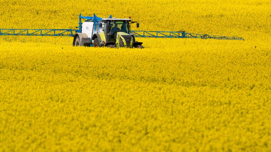 
          La réforme des retraites : Un minimum de 1000 euros qui soulage les agriculteurs