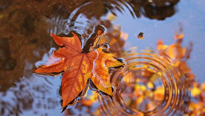 
          Bilan météo France : Un mois de novembre très pluvieux et moins ensoleillée