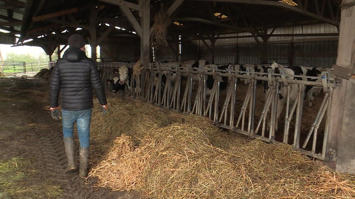 
          Lubrizol : Le casse-tête de l'indemnisation pour les agriculteurs