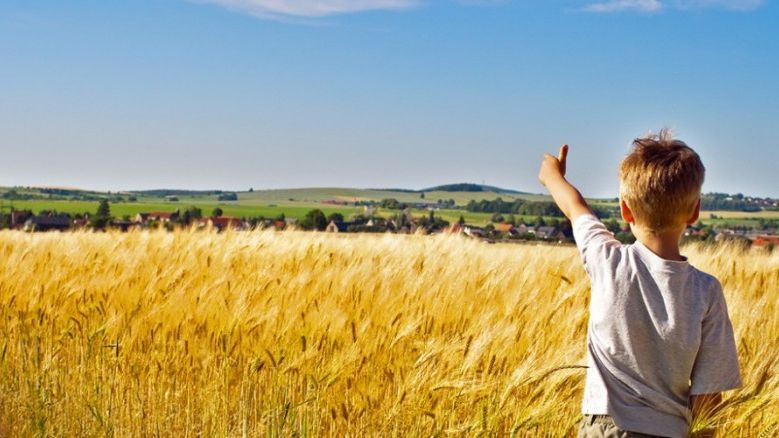 
          La chronique de l’agriculture française