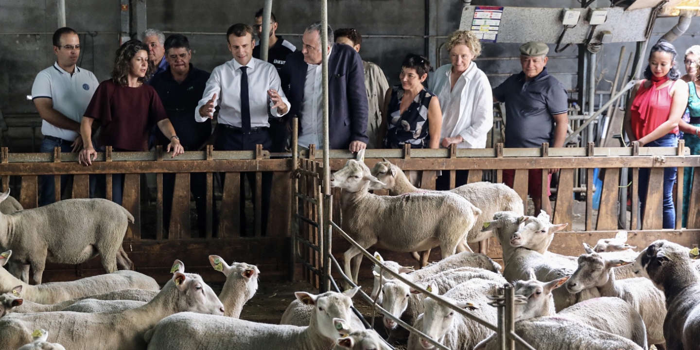 
          Macron veut protéger les agriculteurs contre les « stigmatisations »