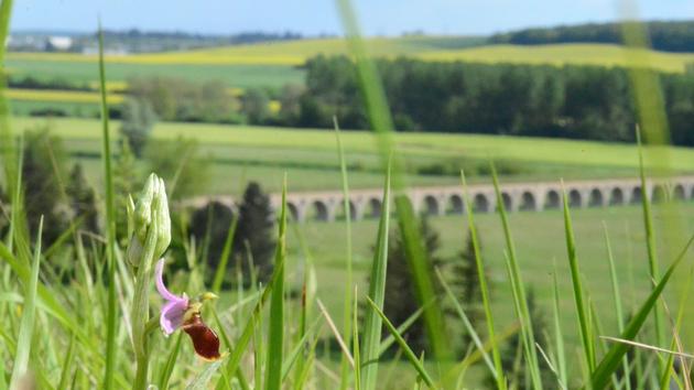 
          Paris va subventionner des agriculteurs pour améliorer la qualité de l’eau
