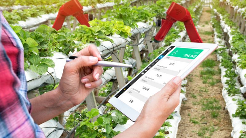 
          La technologie fait son chemin dans les champs