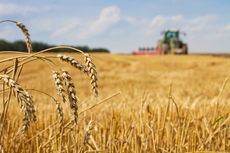 
           La Banque Européenne d’Investissement (BEI) soutient Limagrain à travers un prêt, élargissant ainsi son engagement vis à vis du secteur agricole