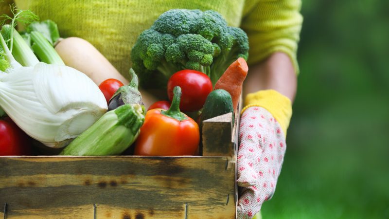 
          La commission européenne envisage de nouveaux objectifs pour sa politique alimentaire