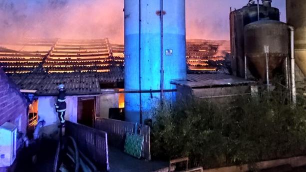 
          En Hauts-de-France, 2000 truies et porcelets ont péri dans un incendie d’une exploitation agricole