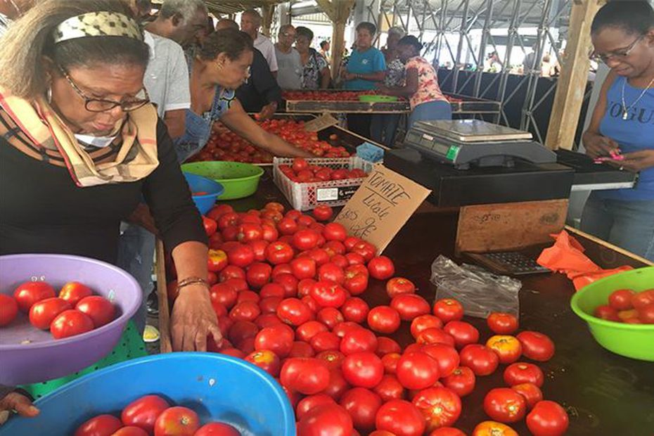 
          Tous à la foire de la tomate à Fort-de-France
