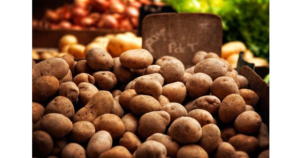 
          Evolution de la filière pomme de terre biologique en France en 2019