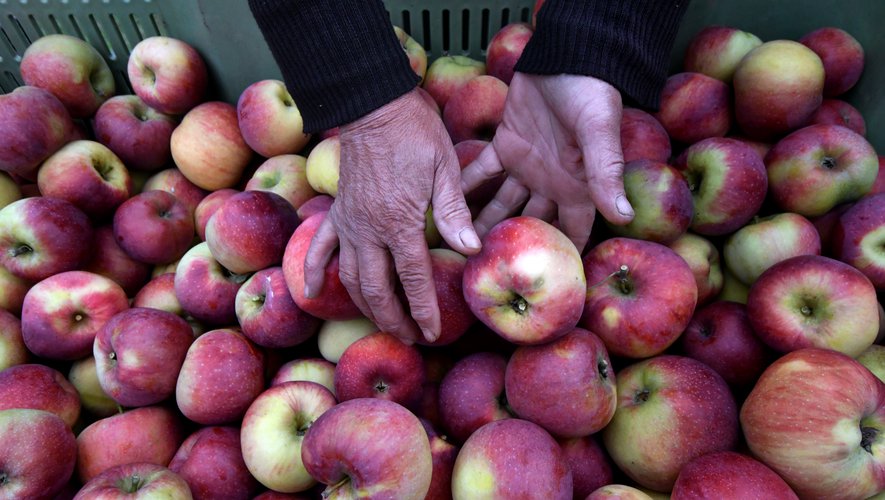 
          L’appel des agriculteurs à consommer les produits issus de l’agriculture française