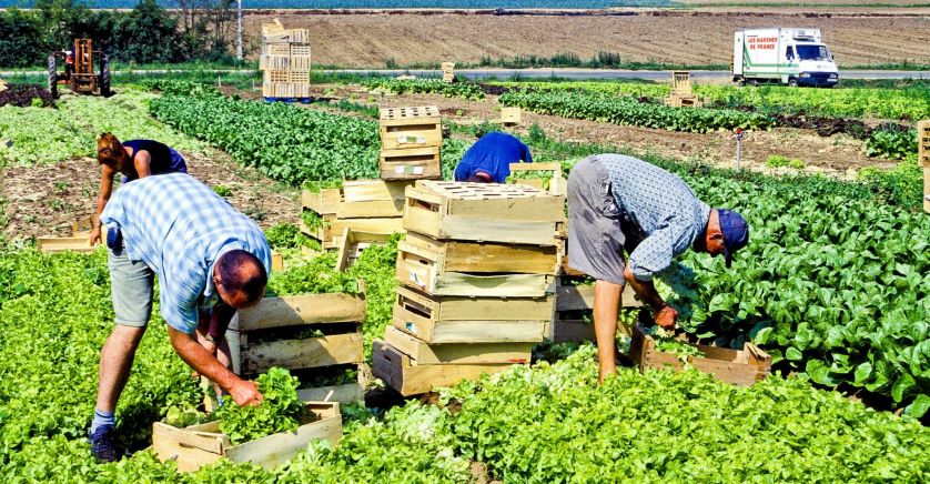 
          La France est confinée mais pense à mettre tout en œuvre pour assurer l’approvisionnement alimentaire du pays