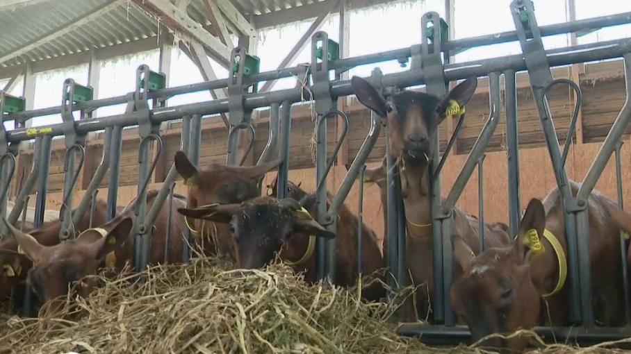 
          Les agriculteurs français touchés par la fermeture des marchés