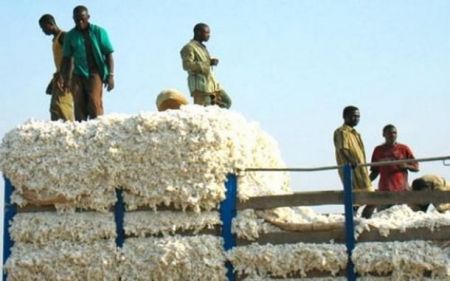 
           Au Cameroun, la BID octroie un financement de 64 milliards FCFA à la Société de développement du coton