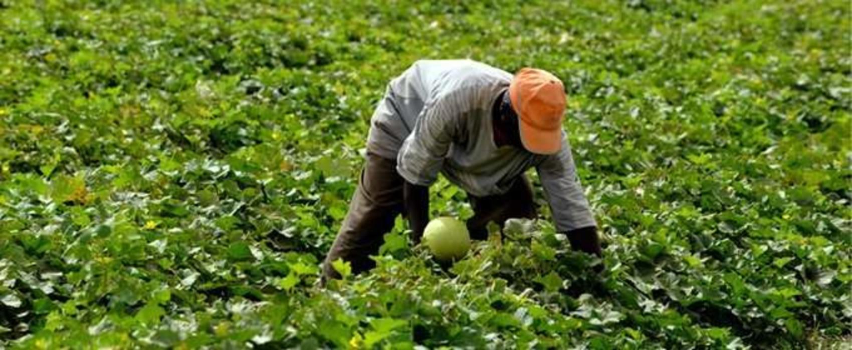 
          Les pertes des marchés d’exportation impactent les pays africains