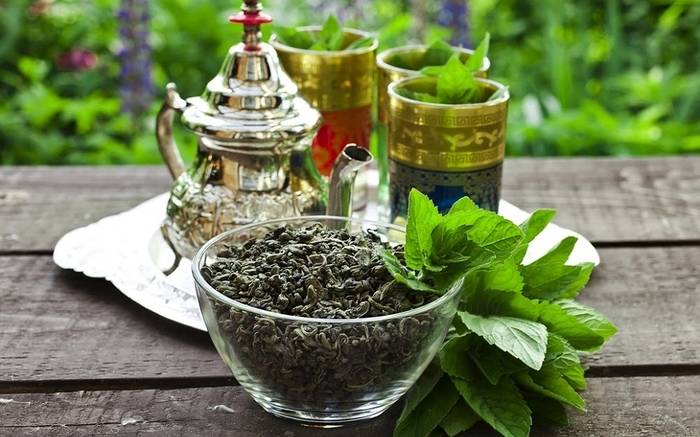 
          Le Maroc dispose de tous les atouts nécessaires à ce jour pour cultiver son propre thé