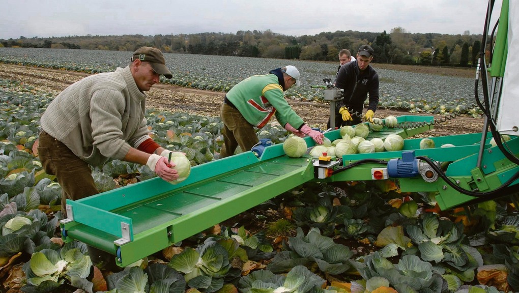 
          Malgré le Covid-19, l’Albanie autorise l’envoie de ses travailleurs agricoles saisonniers en Grèce