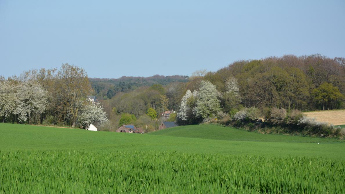 
          Les mesures de crise en soutien aux agriculteurs européens annoncées le 22 Avril ont été adoptées