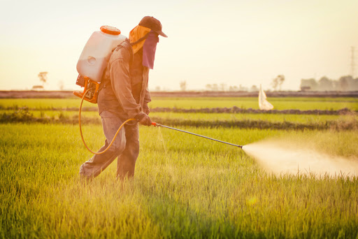 
           Office national de sécurité sanitaire des produits alimentaires du Maroc réexamine les autorisations des pesticides à base du Chlorpyriphos