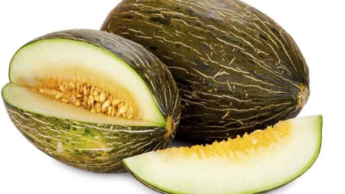 
          Le melon marocain fait partie des plus chers en Europe