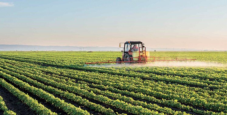 
          L’écosystème du machinisme agricole marocain est en péril