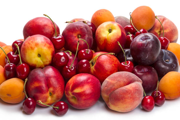 
           Les revenus d’exportation de fruits en Tunisie est en hausse de 5,24% sur un an