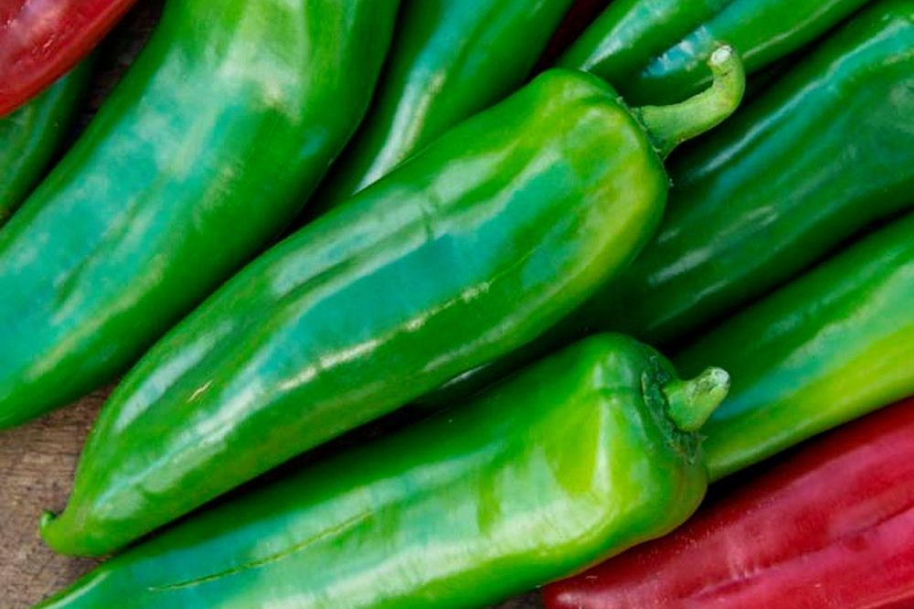 
           Les exportations de poivrons marocains vers l’Espagne ont connu une hausse de 210%