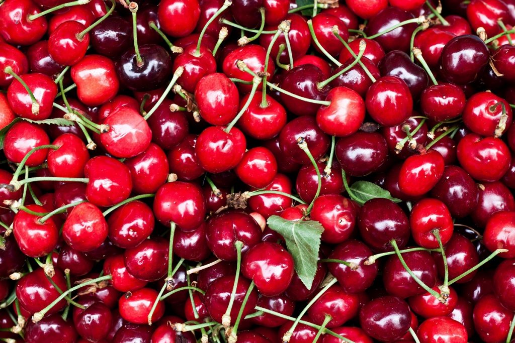 
           En France, un décret d’urgence interdit l’importation des cerises américaines sur le territoire