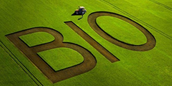 
          Le Maroc vise une expansion en agriculture biologique avec 300.000 hectares