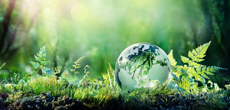 
           30 pays dont le Maroc ont bénéficié de 176 millions de dollars pour des projets agricoles et environnementaux