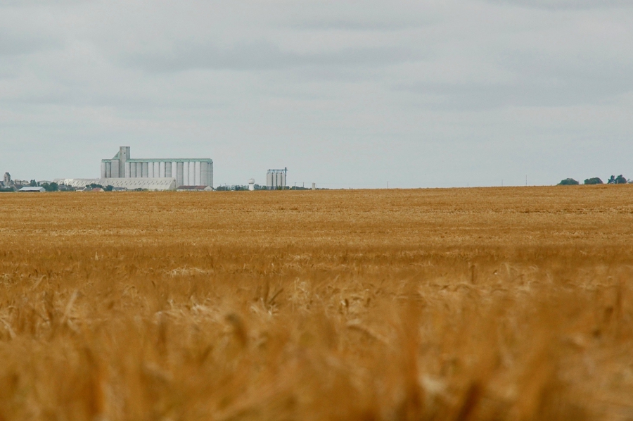 
          Les coopératives agricoles ont besoin d’aides pour se relancer