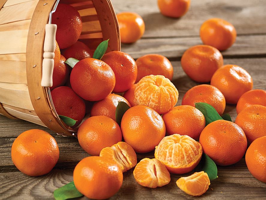 
           L’Espagne investi 400.000 € pour la promotion des oranges et des mandarines au canada