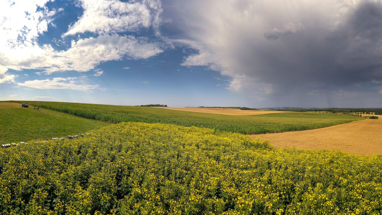 
          Le monde agricole trouve équilibrée la réforme de la PAC européenne 