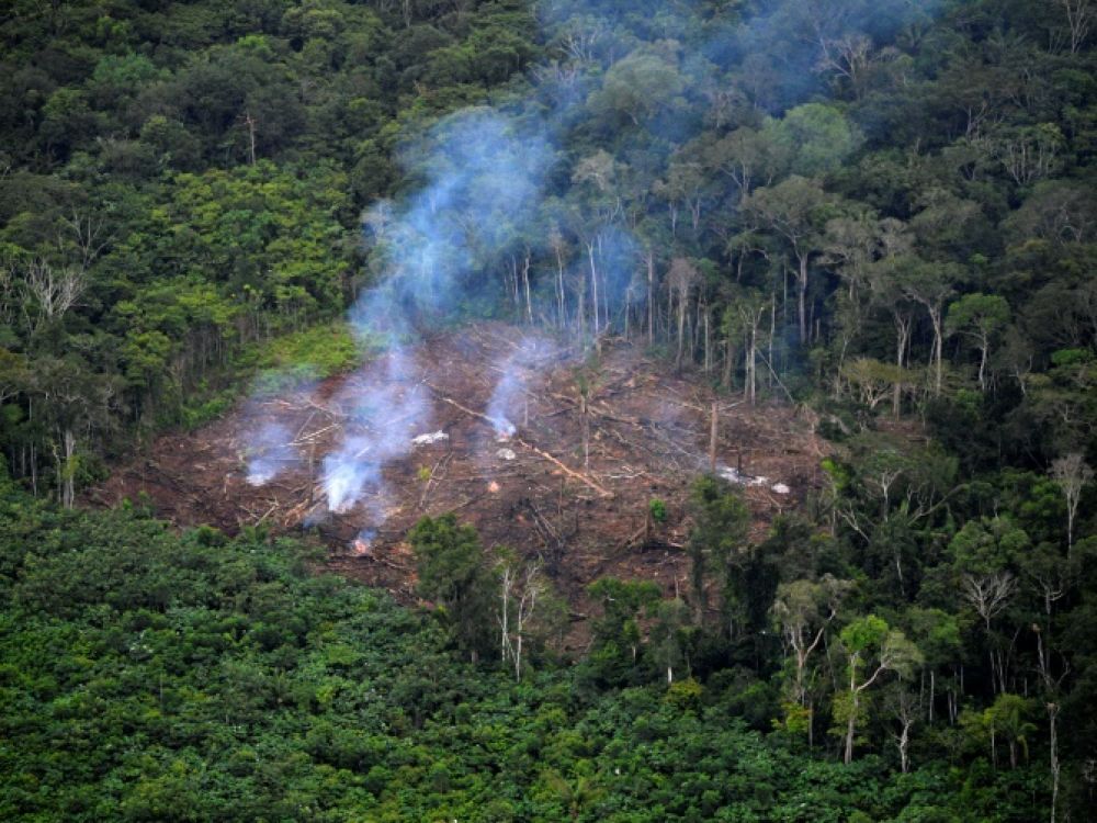 
           Les signes vitaux de la Terre s'affaiblissent, selon des scientifiques 