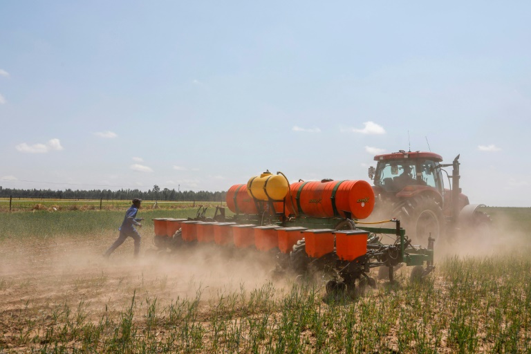 
           Afrique du Sud: réinventer l'agriculture, sans pesticides ni machines 