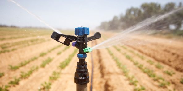 
           L’agriculture, botte secrète d’Israël en Afrique – Jeune Afrique 