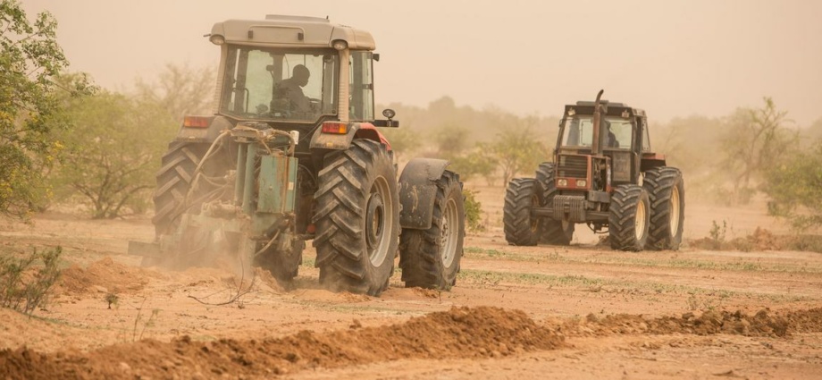 
           Cote d’Ivoire-AIP/Inter/ Un nouvel outil de mécanisation de l’agriculture capable de restaurer les terres dégradées du Sahel (FAO) – AIP – Agence Ivoirienne de Presse de Côte d'Ivoire 