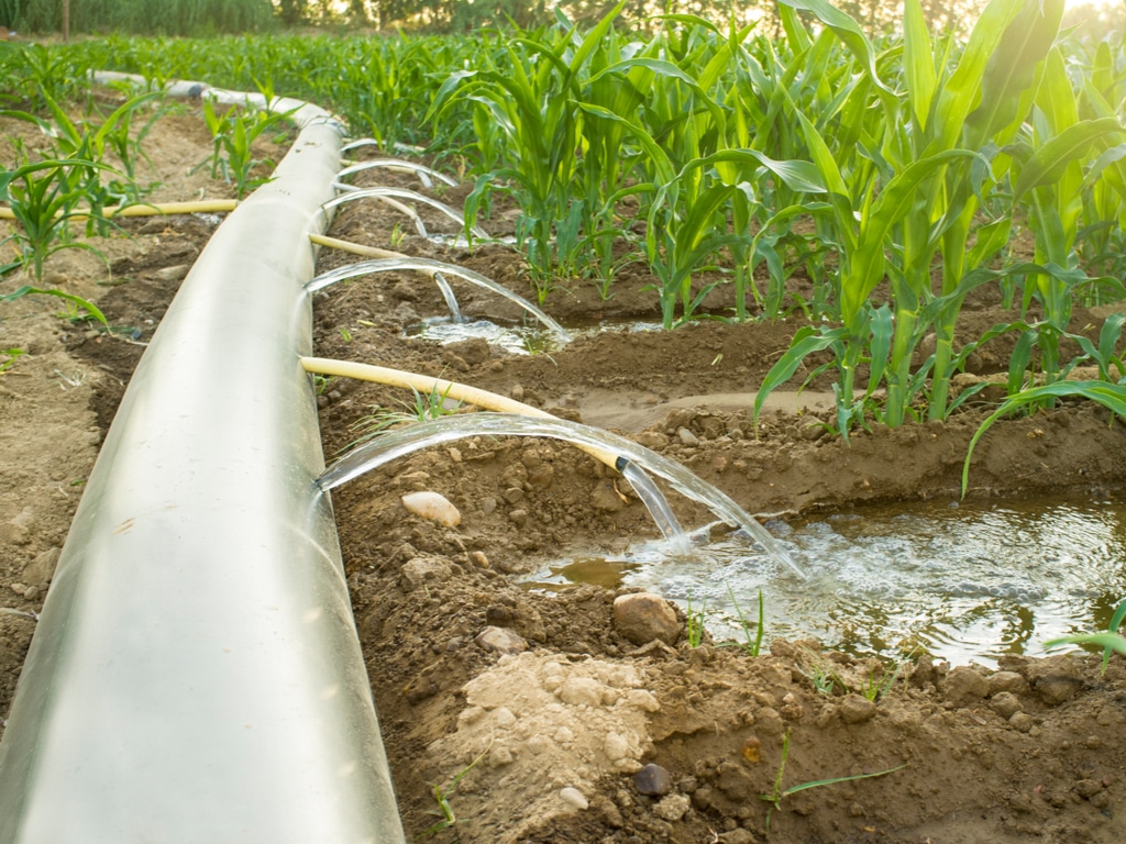 
           KENYA : le gouvernement accompagne l’agriculture durable et l’accès l’eau à Nyandarua | Afrik 21 