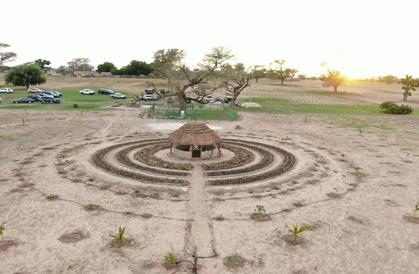 
           Agroécologie : le Sénégal innove avec ‘Tolou Keur’  