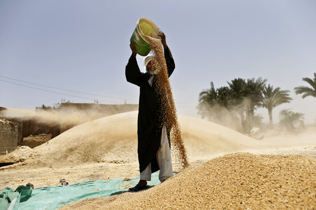 
           Guerre en Ukraine : face à la hausse des prix du blé les pays africains tentent de s'adapter 